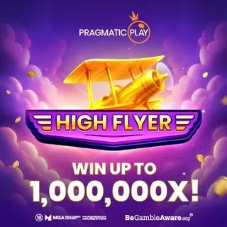 High Flyer